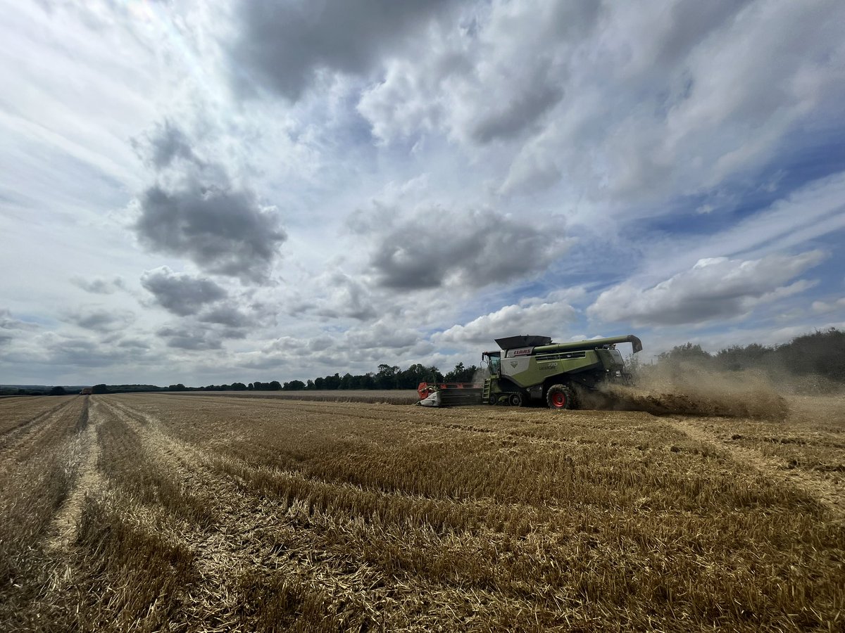 They’re combining wheat.
No idea what the moisture is.
No idea what the variety is. 
No idea what the yield is.
But they’re combining wheat.