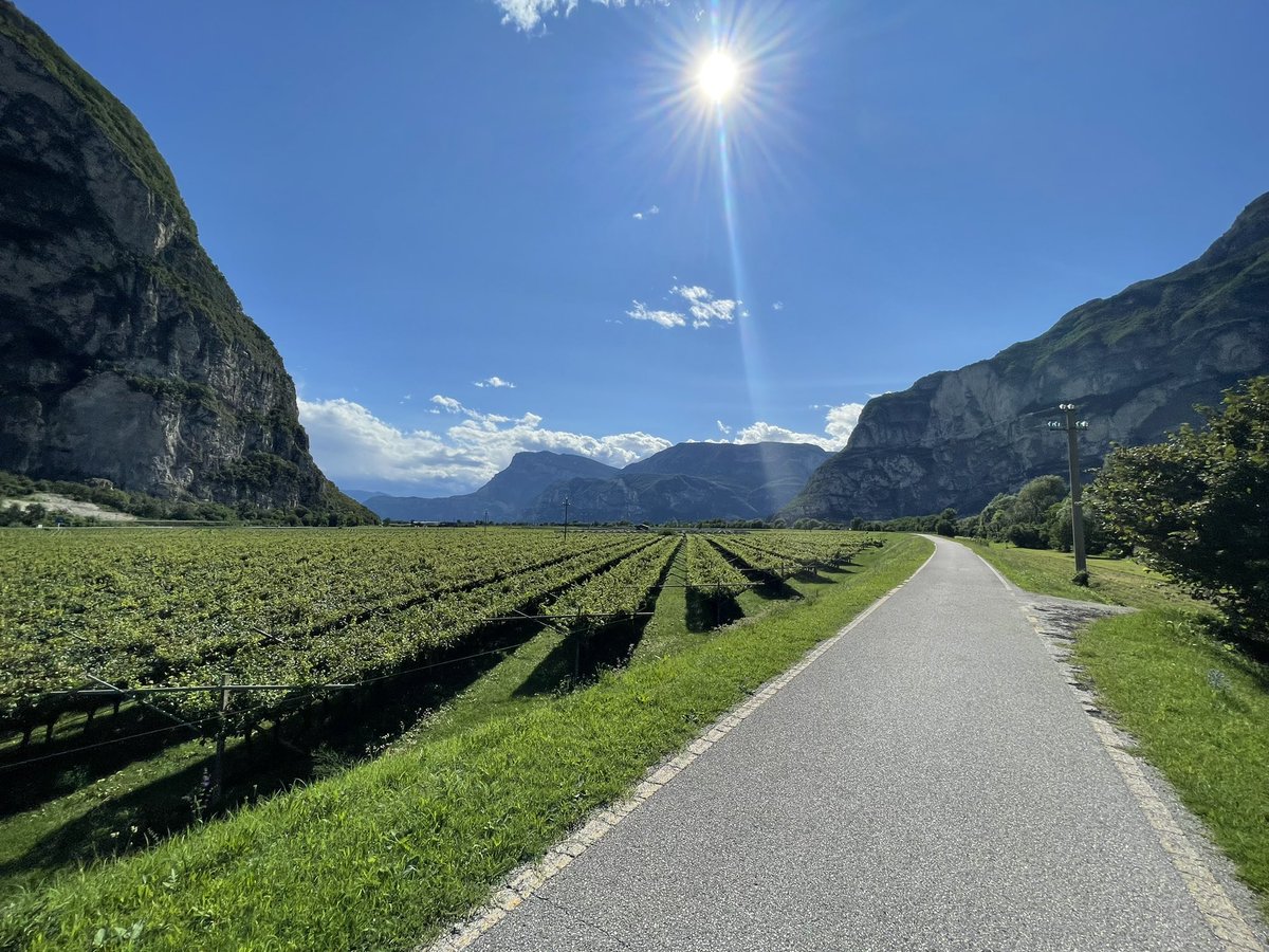 leo_barran's tweet photo. @girolibero tante grazie per un giro perfetto da Bolzano a Venezia via Verona! Great route, very clear instructions, great logistics, beautiful scenery and wonderful cities. https://t.co/YHlB43xjV7