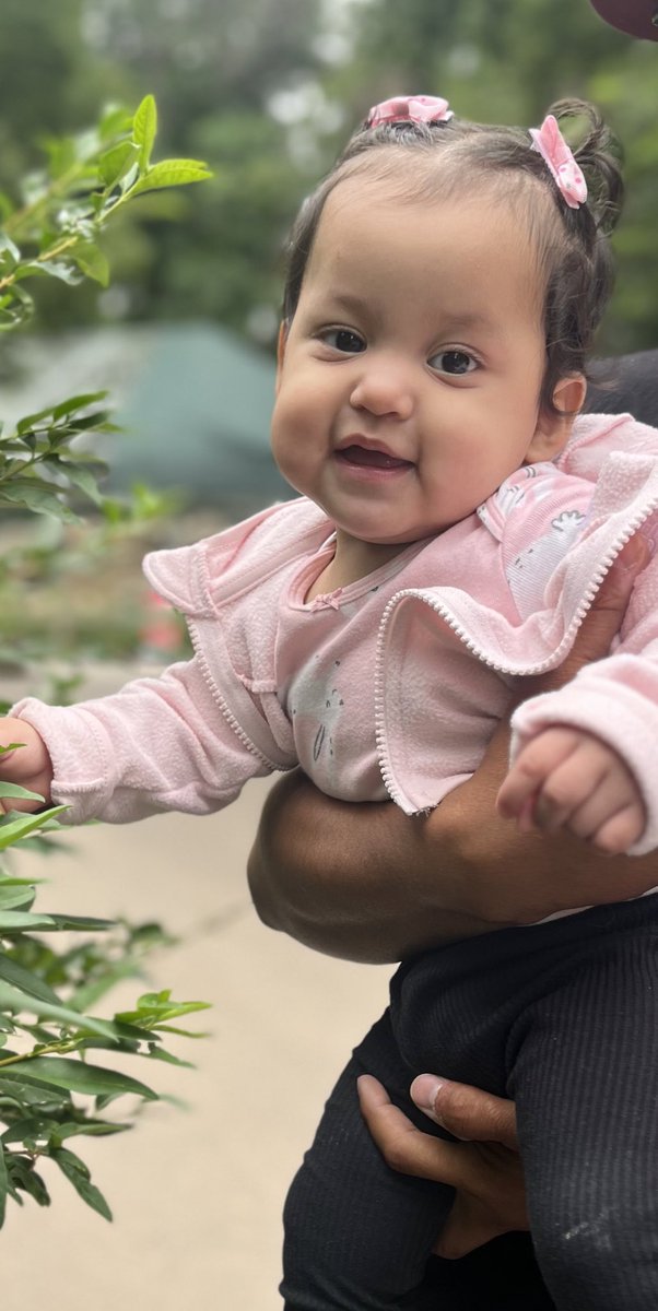 noelyy_'s tweet photo. How are my girls almost one?😭 https://t.co/BqrjAp0I3j