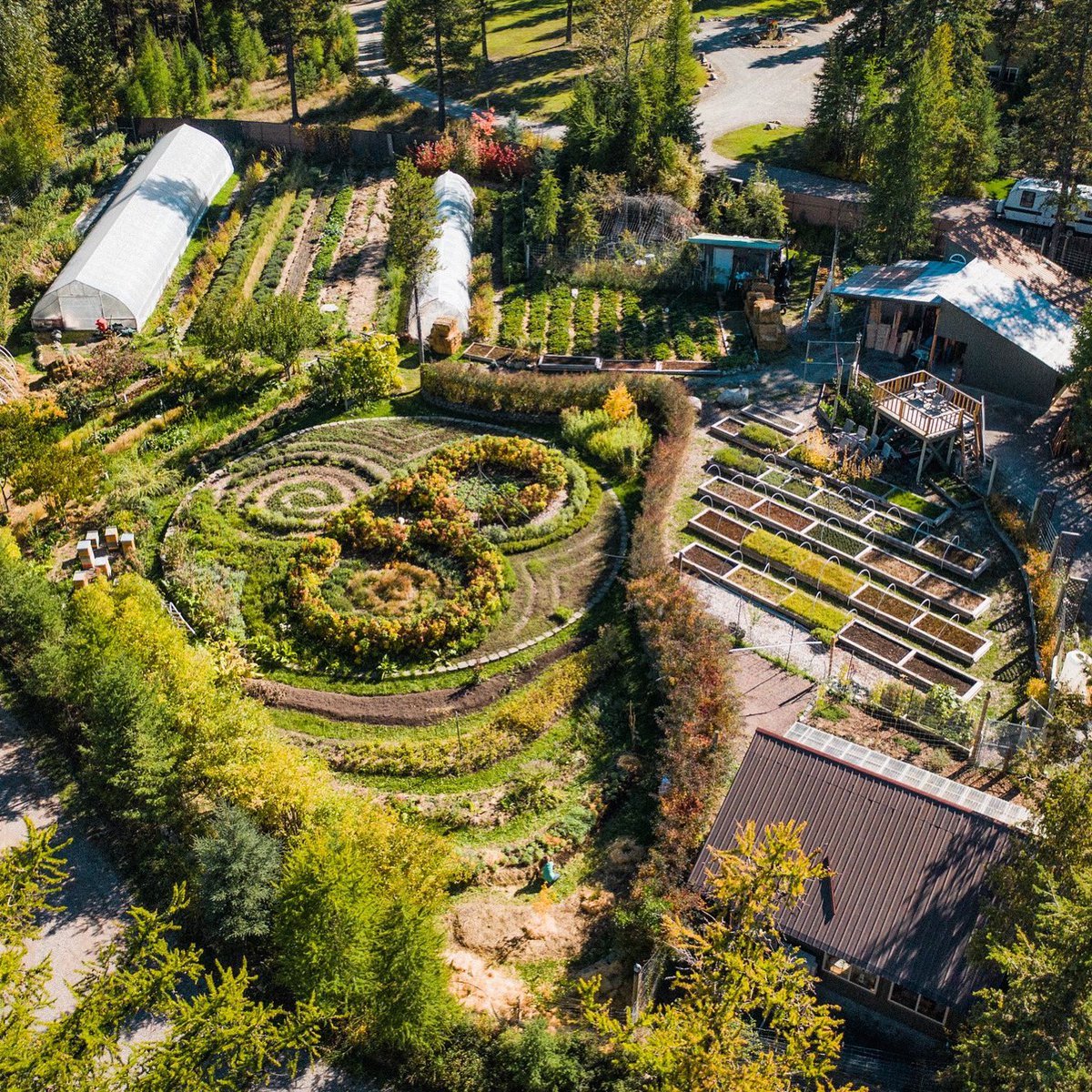 Join this woman-operated #WWOOF host for an immersive experience where you'll grow not just organic herbs in beautiful northern Montana, but also yourself. 🌿 

Visitors welcome from one day up to several months! ✨ 

Learn more at wwoofusa.org/host/19223