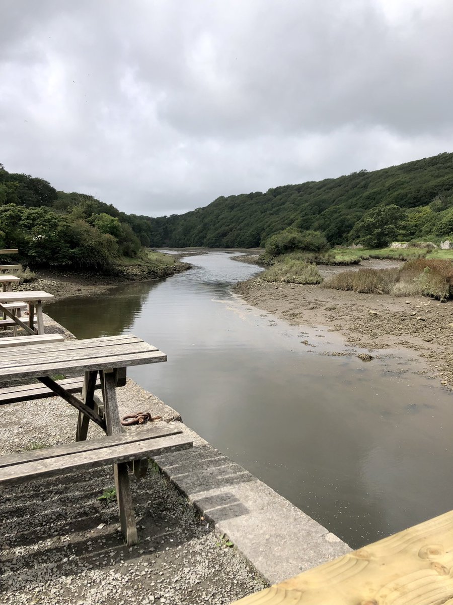 stubo37's tweet photo. #Narbeth to #Pembroke @SlowWaysUK trail completed today. Was expecting a 15 mile but turns into 18 due to footpath blockages and unsafe road walking. New route to be updated shortly and blockages reported to @Pembrokeshire council. #RightsOfWay #SlowWays https://t.co/KyuP86F03x