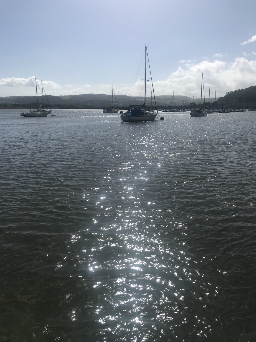 Marina Kogan tweet media