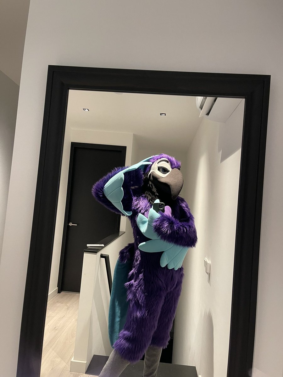 BirdNamedVal's tweet image. for some weird reason whenever my family leaves this bird appears in my house

#FursuitFriday