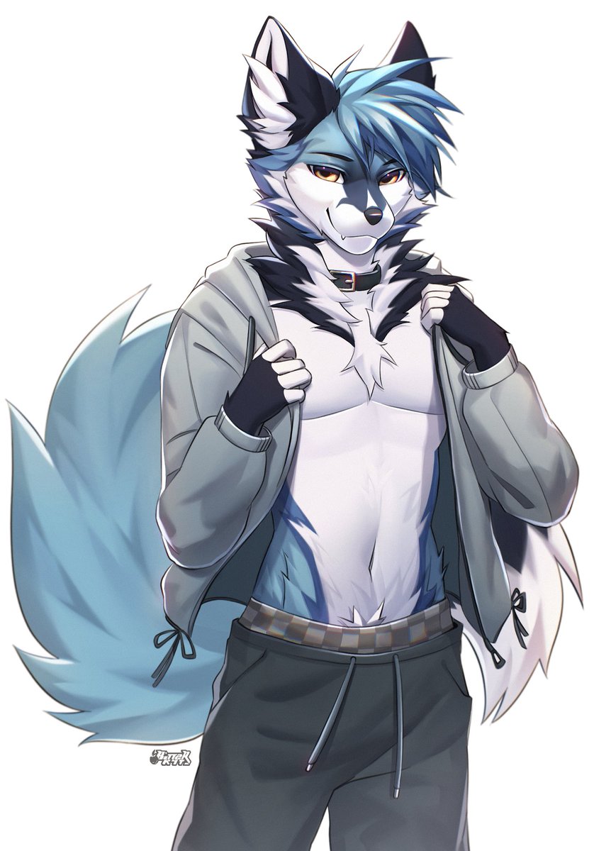 one (1) cool fox 💙 🐾