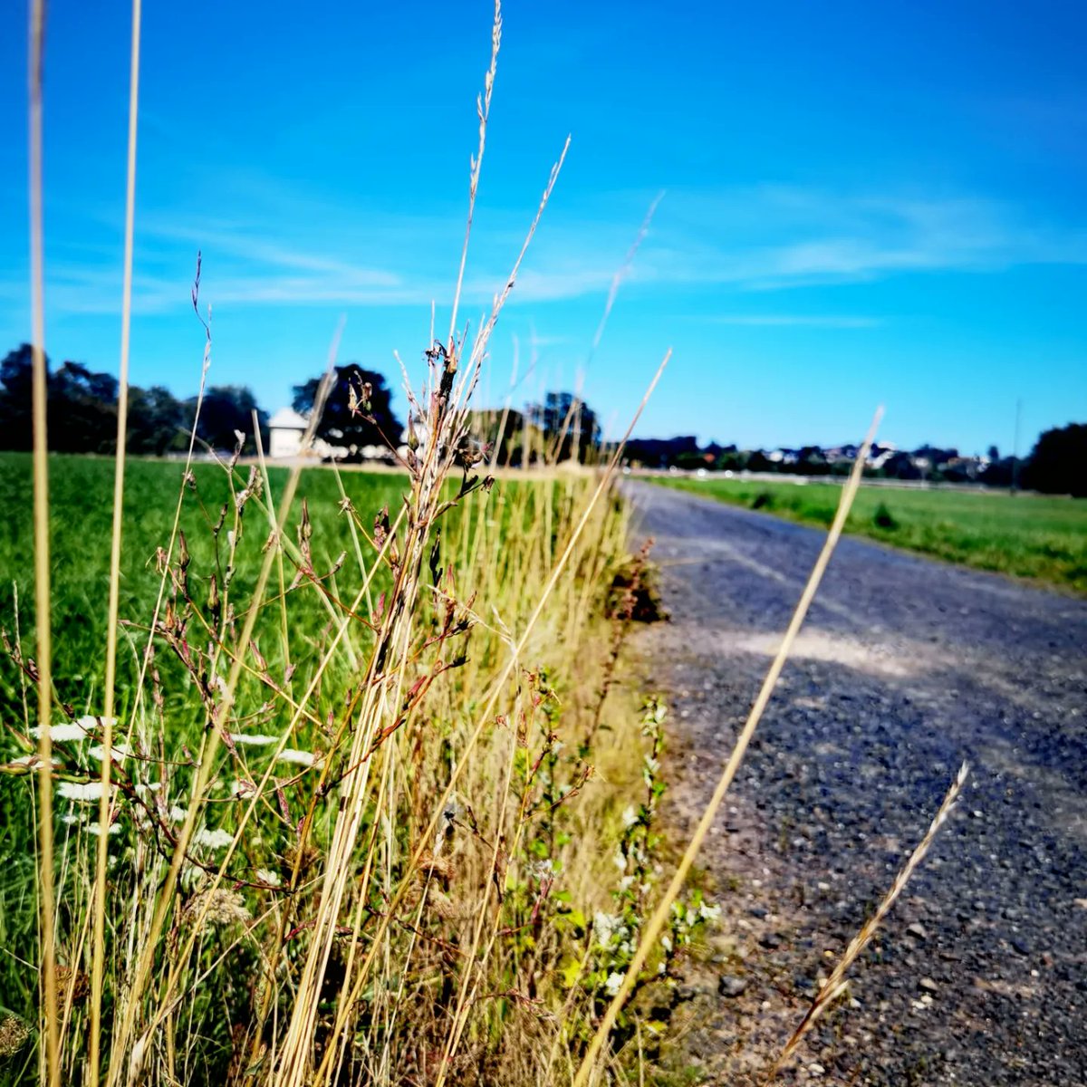 skorpion_1178's tweet photo. #afterworkrun #running #summer #sportslife #prozisdeutschland https://t.co/9yVGIZlZBu