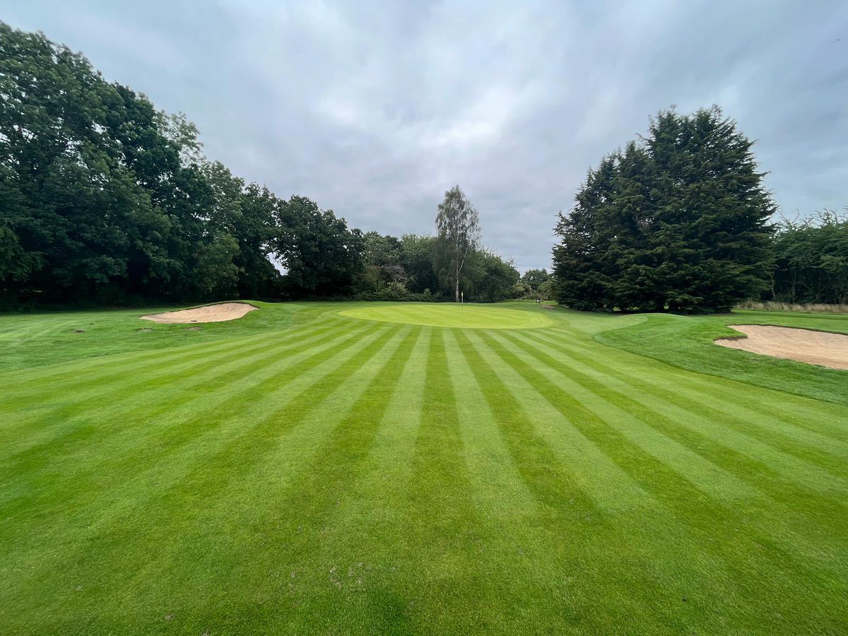 I think my team are right on it with our approach. 8mm, 3 times a week 👌