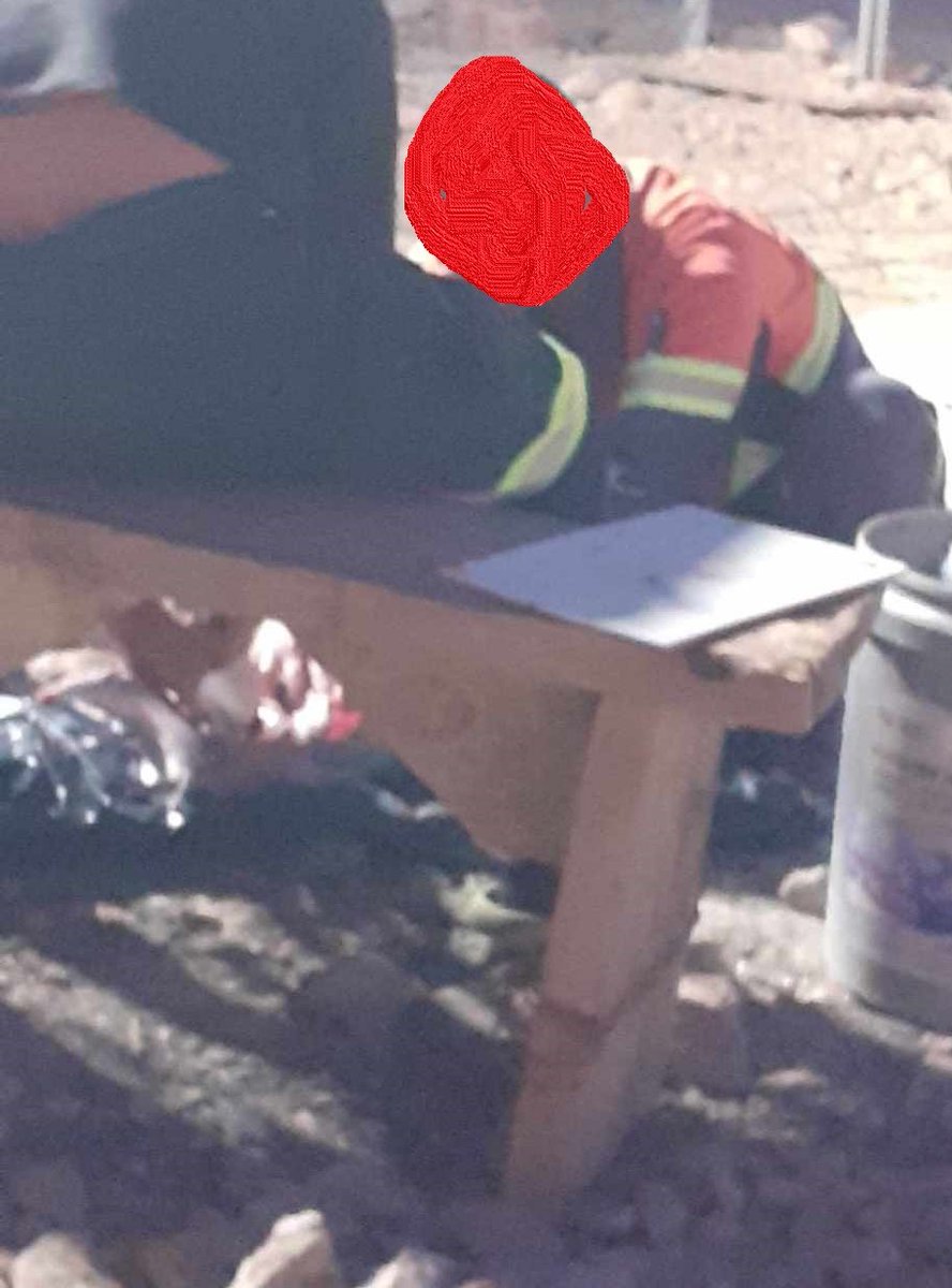 StevaDebeliLug's tweet photo. Prema rečima sugrađanke kojoj su naši radnici poslali slike, kineski radnici su ZAKLALI, pa spremili i pojeli psa u toku smene, u nekadašnjem Rudniku bakra Majdanpek, sadašnjem ZiJinu.

Ranije je viđen i magarac koga takođe odvoze na ''Severni revir'', gde je verovatno pojeden. https://t.co/csWuUEKsWh