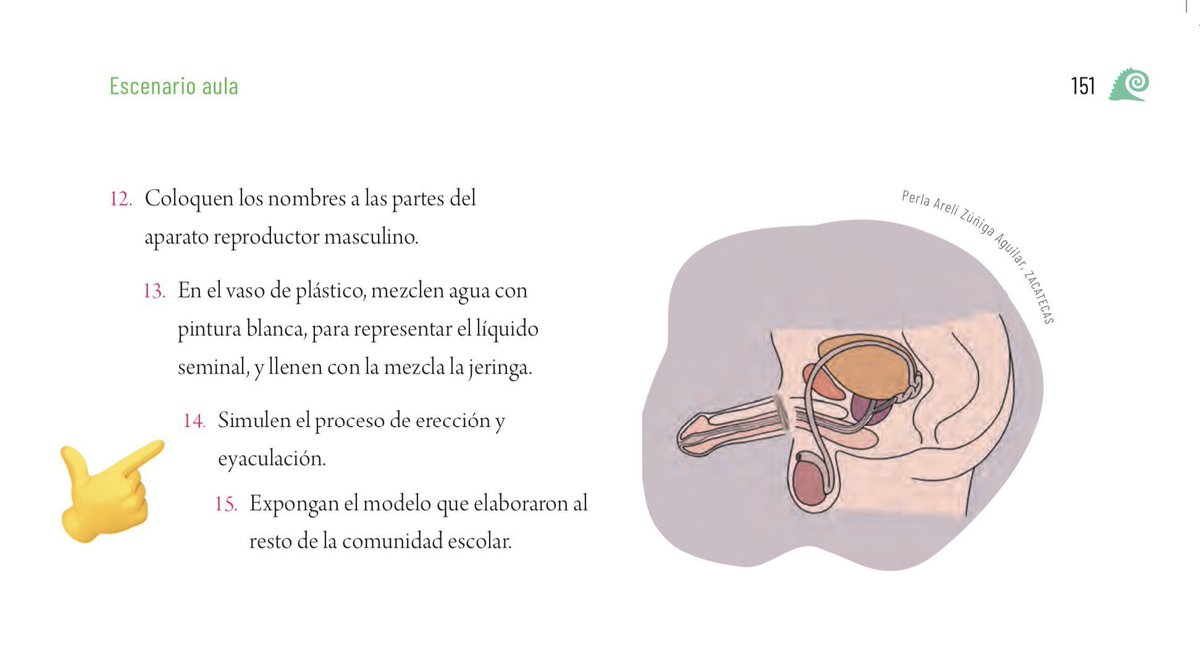 Llego un poco tarde, pero sobre la discusión alrededor de la maqueta eyaculatoria:

1. Entiendo que genere incomodidad. La educación sexual suele retar nuestras nociones de lo que debería enseñarse o no. El rechazo, a veces, viene de querer proteger a las infancias.

Dicho eso...