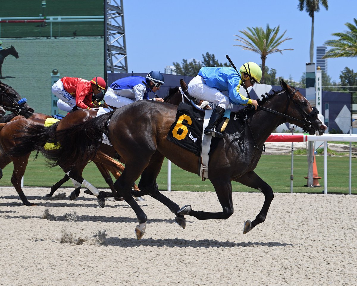 Gulfstream Park (@gulfstreampark) on Twitter photo Big Balloons, with Edgar Pérez, surges late to upset race 3 for trainer <a href="/AckerStables/">Scott D. Acker Stables</a>. #GulfstreamPark #RoyalPalmMeet Big Balloons, with Edgar Pérez, surges late to upset race 3 for trainer <a href="/AckerStables/">Scott D. Acker Stables</a>. #GulfstreamPark #RoyalPalmMeet