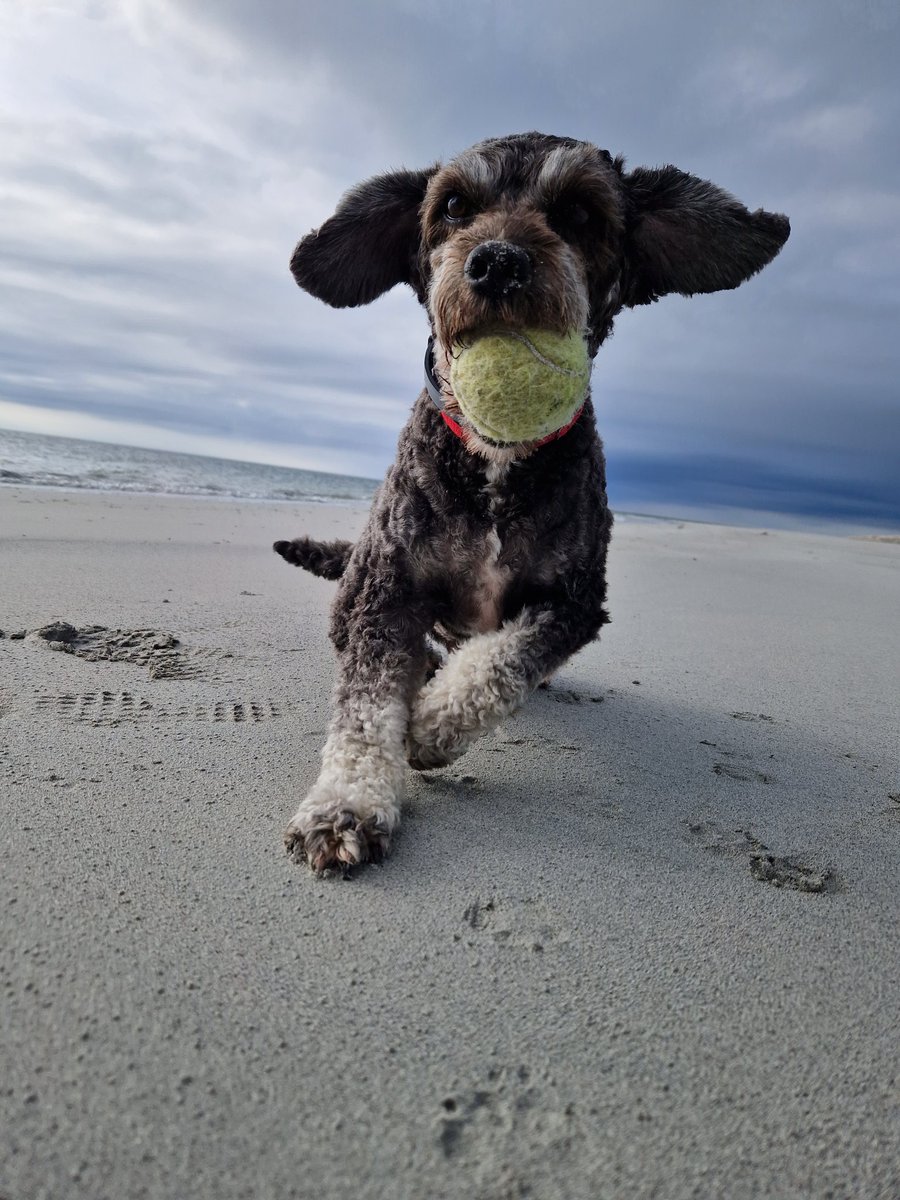 MacPhee86's tweet photo. Having a marvellous time back home on the Island 🏴󠁧󠁢󠁳󠁣󠁴󠁿 @OuterHebs @isleofsouthuist https://t.co/gtJEr2xm73