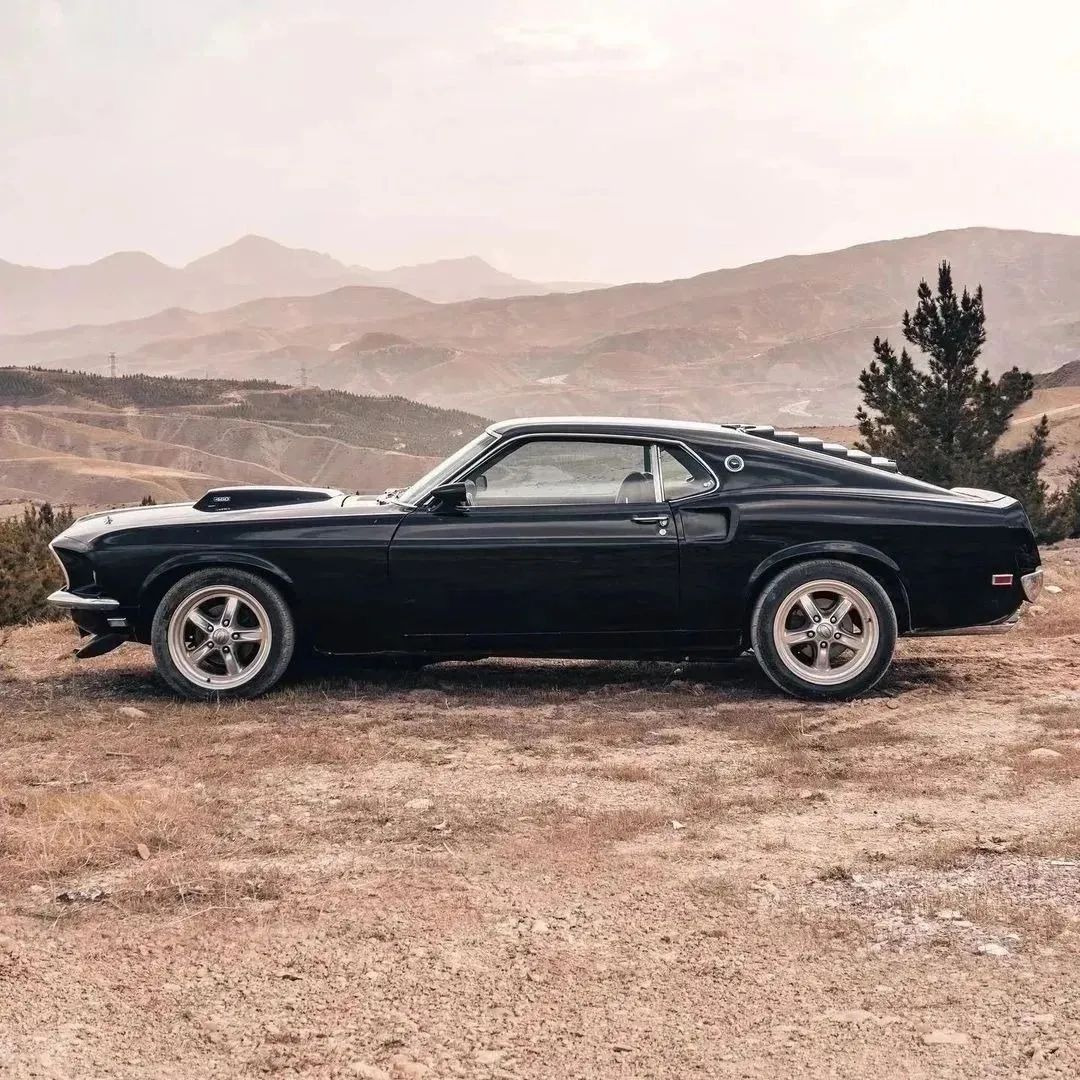 winnie_car's tweet photo. Ford Mustang GT 1969.#dodge #DodgeChallenger #rt #dodgert #dodgechallengerrt #instacars #cars #carsofinstagram #carswithoutlimits #Carstagram #uscars #americancars #musclecar #musclecars #uscar #moparnation #americancar #oldtimer #classicmuscle #oldcar #oldcars https://t.co/WRUXuWZXFm