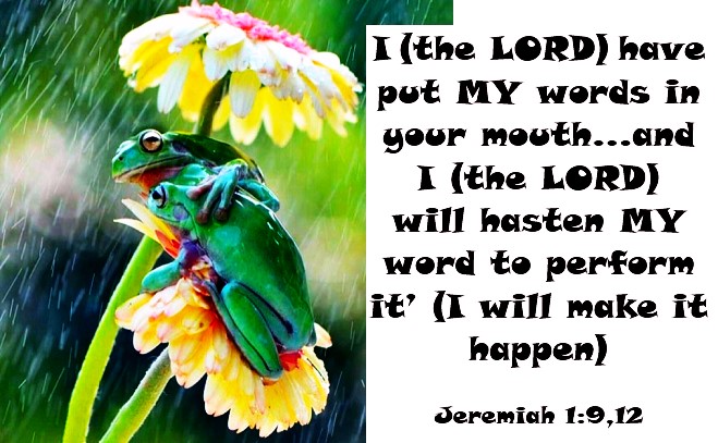 SharonLManning1's tweet image. Make it happen!  What we do really has an effect of what happens.  #Godcontrols #manchooses wakemyear.wordpress.com/2023/08/11/mak…