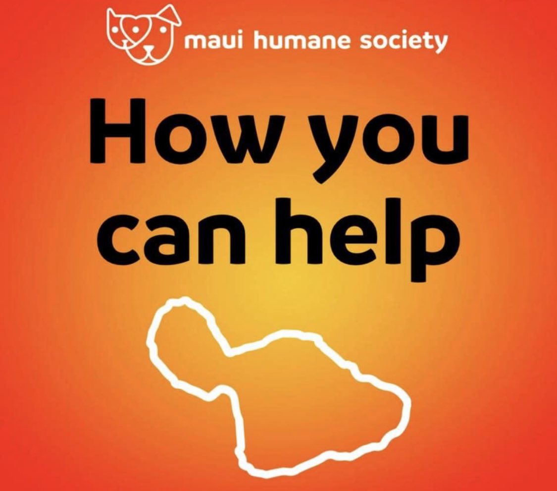 TikiTales's tweet image. Maui Humane Society was over capacity even before #mauifires 
Desperate need for pet foster families. Supplies needed: wet and dry food (Hill Science brand), leashes, collars, toys, snacks, paper towels and gallon freezer bags ship to 1350Mehaneha Loop, Punene HI 96784 ❤️🙏