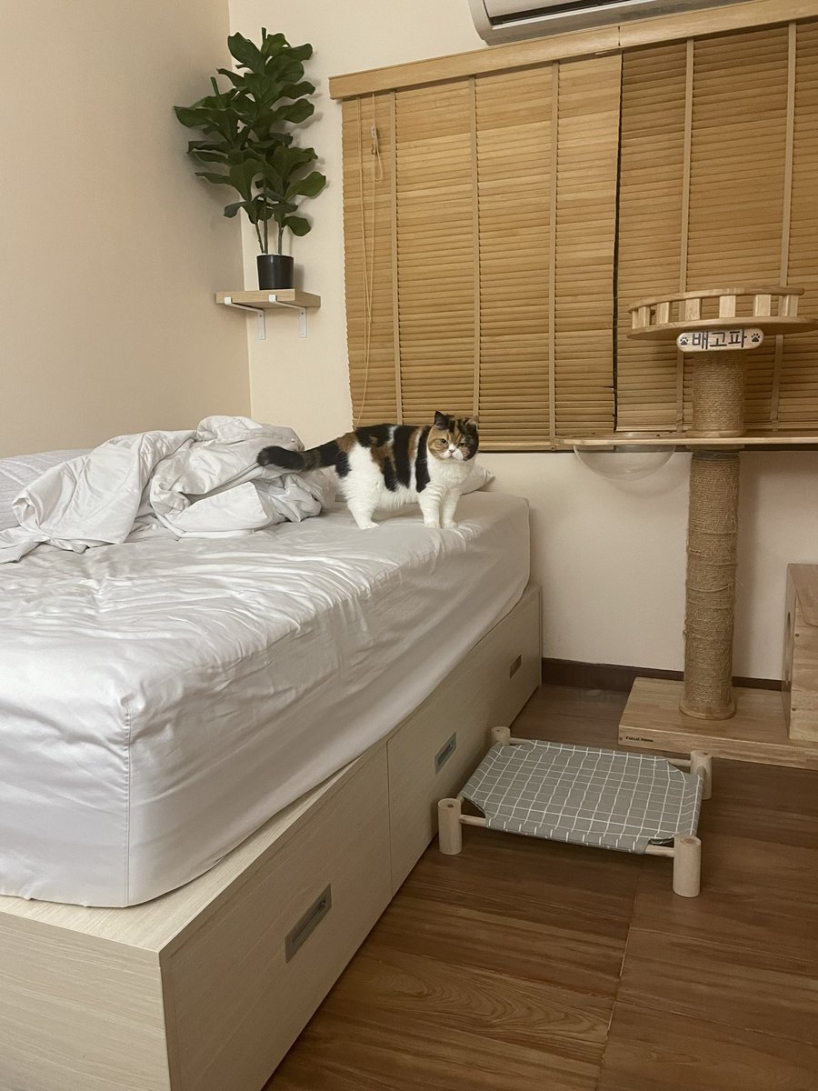 ฝันดีต่ะ