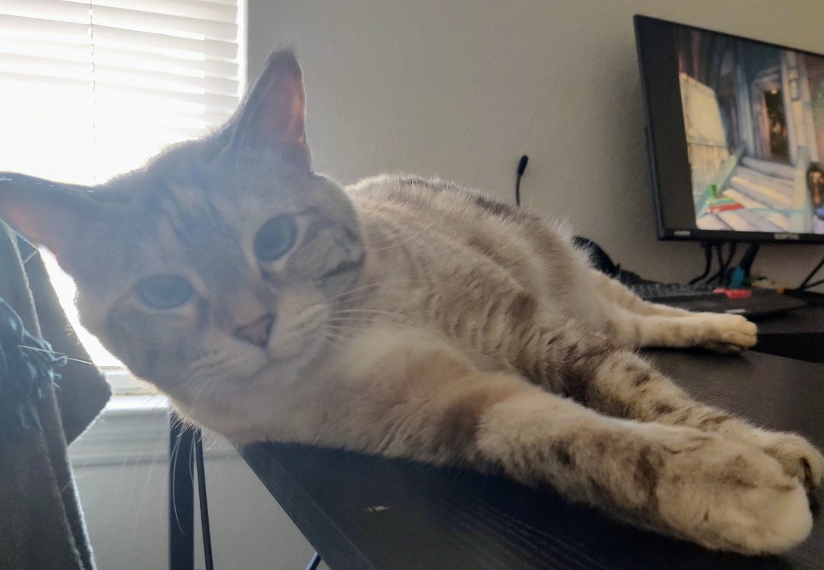 KrisOnceWas's tweet photo. Happy #flatfuckfriday !
Stay cool out there kitty cats 🐈🐈‍⬛ https://t.co/HP9mMphh9Y