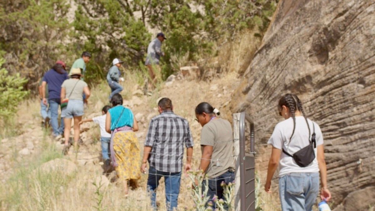 Pace | Haub Environmental Law tweet media