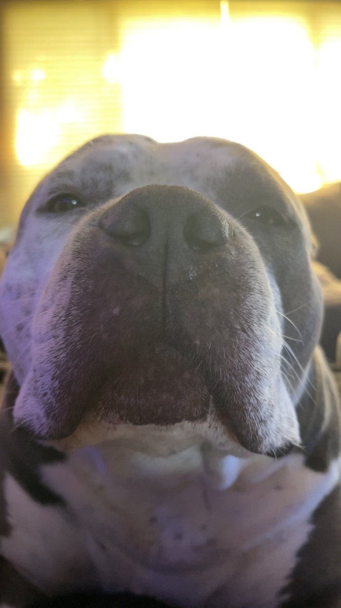 Derek Staley tweet media