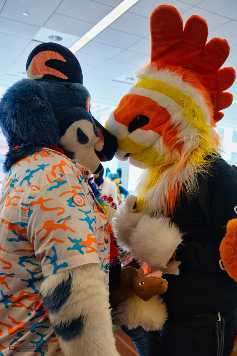 Ayyy happy #FursuitFriday !!

Have some #anthrocon  prehistoric nuzzles feat <a href="/CormieMochi/">Cormie Mochi Raptor</a> !

✂️:<a href="/lemonbrat/">Lemonbrat 🌈🍋💛</a> and <a href="/ButterscotchBi3/">BB Fursuits - COMMISSIONS CLOSED</a>