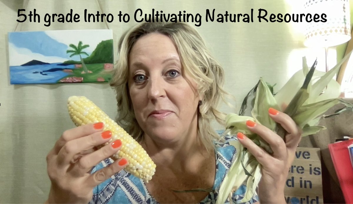 MissyLCarter's tweet photo. My 5th graders had a hands on "corn shucking" day. This was an introduction to an upcoming ELA Unit,  Cultivating Natural Resources. We were all "ears" today in ELA. #5thgrade #virtuallearners #ELA #buildingbackgroundknowledge #getreadytoread #KCSRegion2 #KCSVirtual https://t.co/NPPfGvAoK6