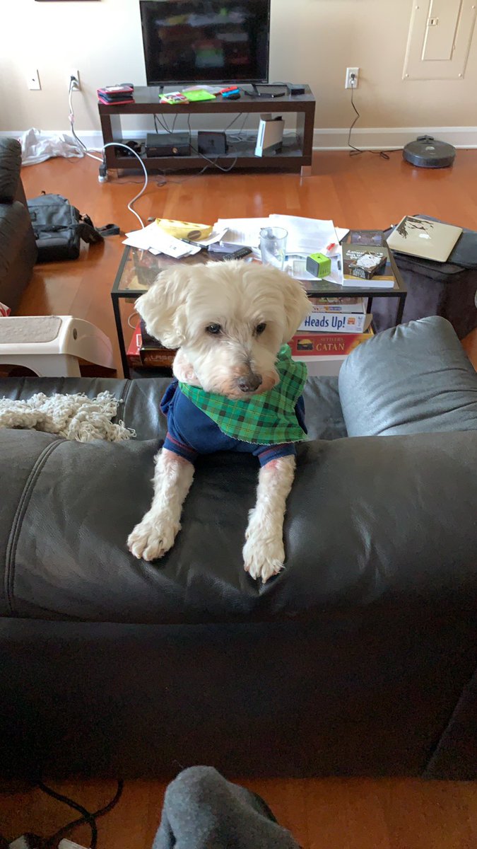 Lucas was with us through three states, five apartments, two graduate degrees, and a pandemic. He has been a constant source of kindness, love, and support. I miss him so much.