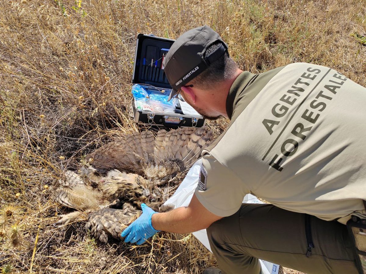 112 Comunidad de Madrid tweet media