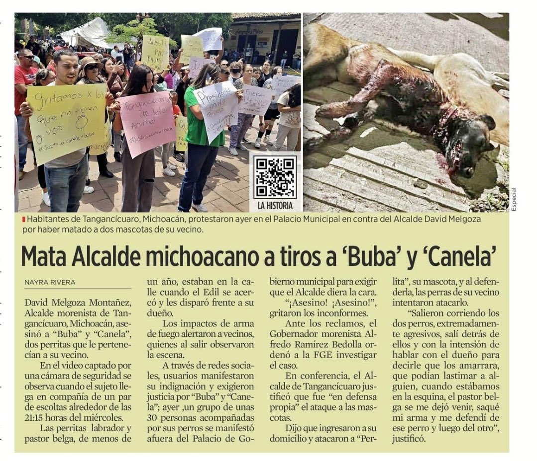 GlodeJo07's tweet photo. El es David Melgoza, Alcalde de Tangancícuaro, Michoacán, y obviamente perteneciente a MORENA.
Con alevosía y ventaja, atacó con arma de fuego y asesinó a "Buba" y "Canela", dos perritas que le pertenecían a su vecino.
Un asesino cobarde, así de simple https://t.co/zkrkTQO9Uu