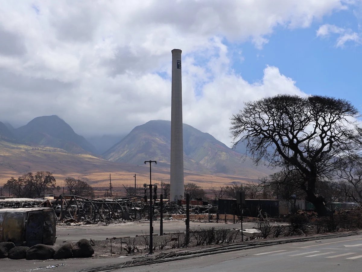 Cheryl Lei tweet media