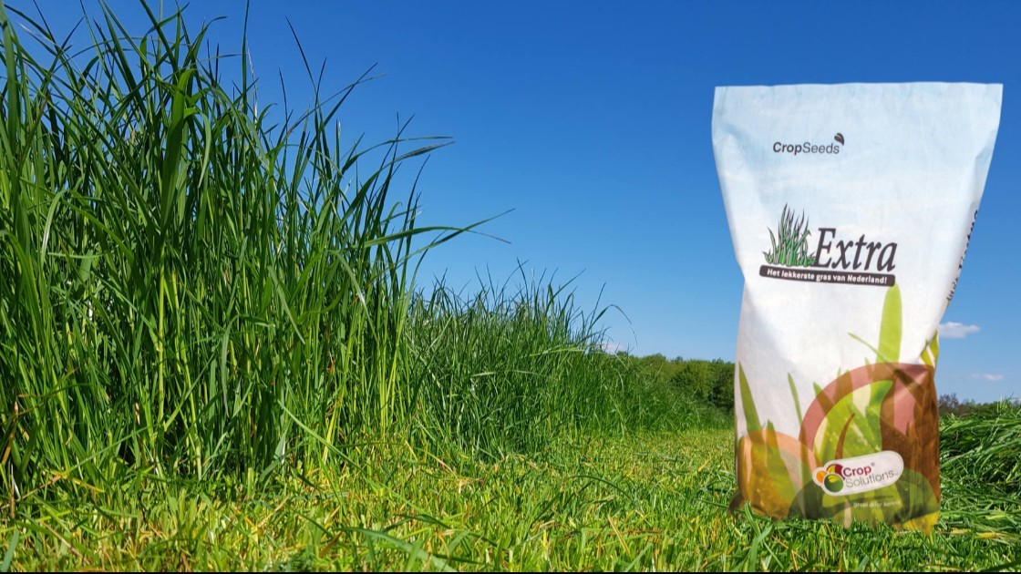 🌱 𝗚𝗿𝗮𝘀𝘇𝗮𝗮𝗱𝗮𝗰𝘁𝗶𝗲: 𝗼𝗻𝘁𝘃𝗮𝗻𝗴 𝗲𝗲𝗻 𝘇𝗮𝗸𝗺𝗲𝘀 𝗰𝗮𝗱𝗲𝗮𝘂 bij bestelling van minimaal 90 kg graszaad! Deze actie is alleen van toepassing op de Extra-mengsels en geldt tot 1 november 2023. Meer info: 👉 bit.ly/448dPkN