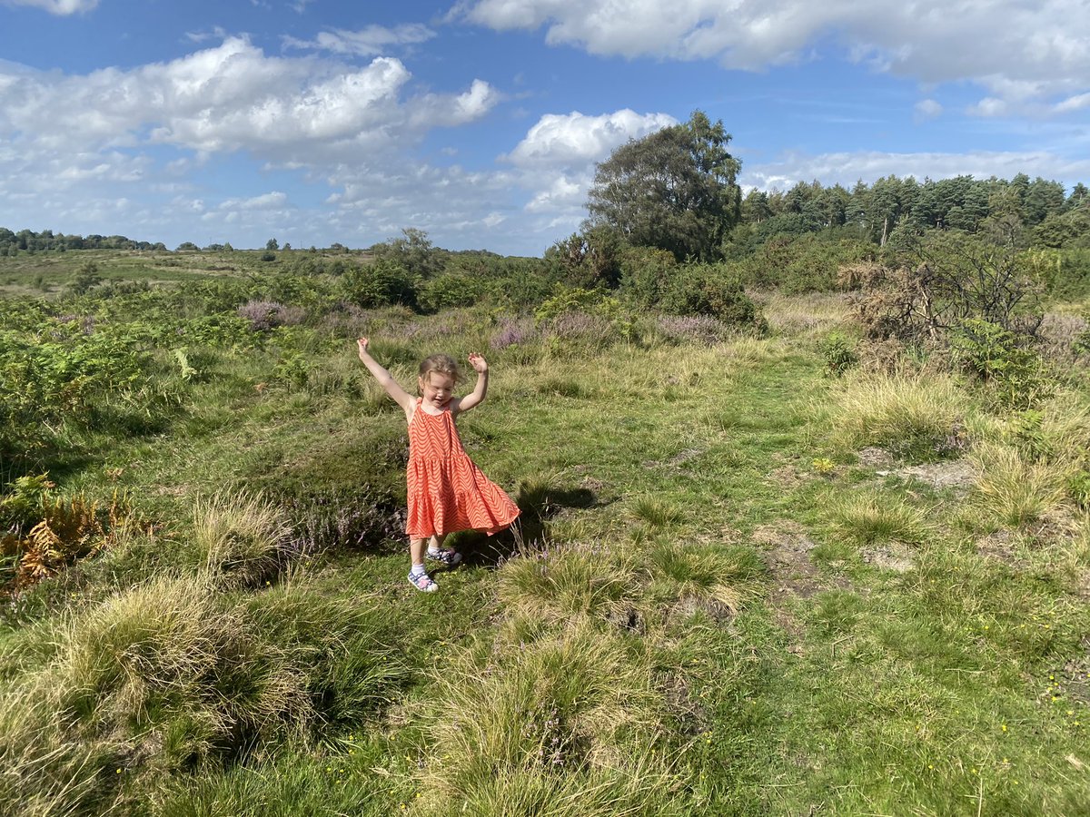WildStagTH's tweet photo. Well our #weekend started with a walk! My daughter had to come to work today so we blew off some steam right at the end of our day!
โYou canโt catch me, Iโm the ginger bread man!โ
#GetBackOutdoors #outdoors https://t.co/rXo3My4Um3
