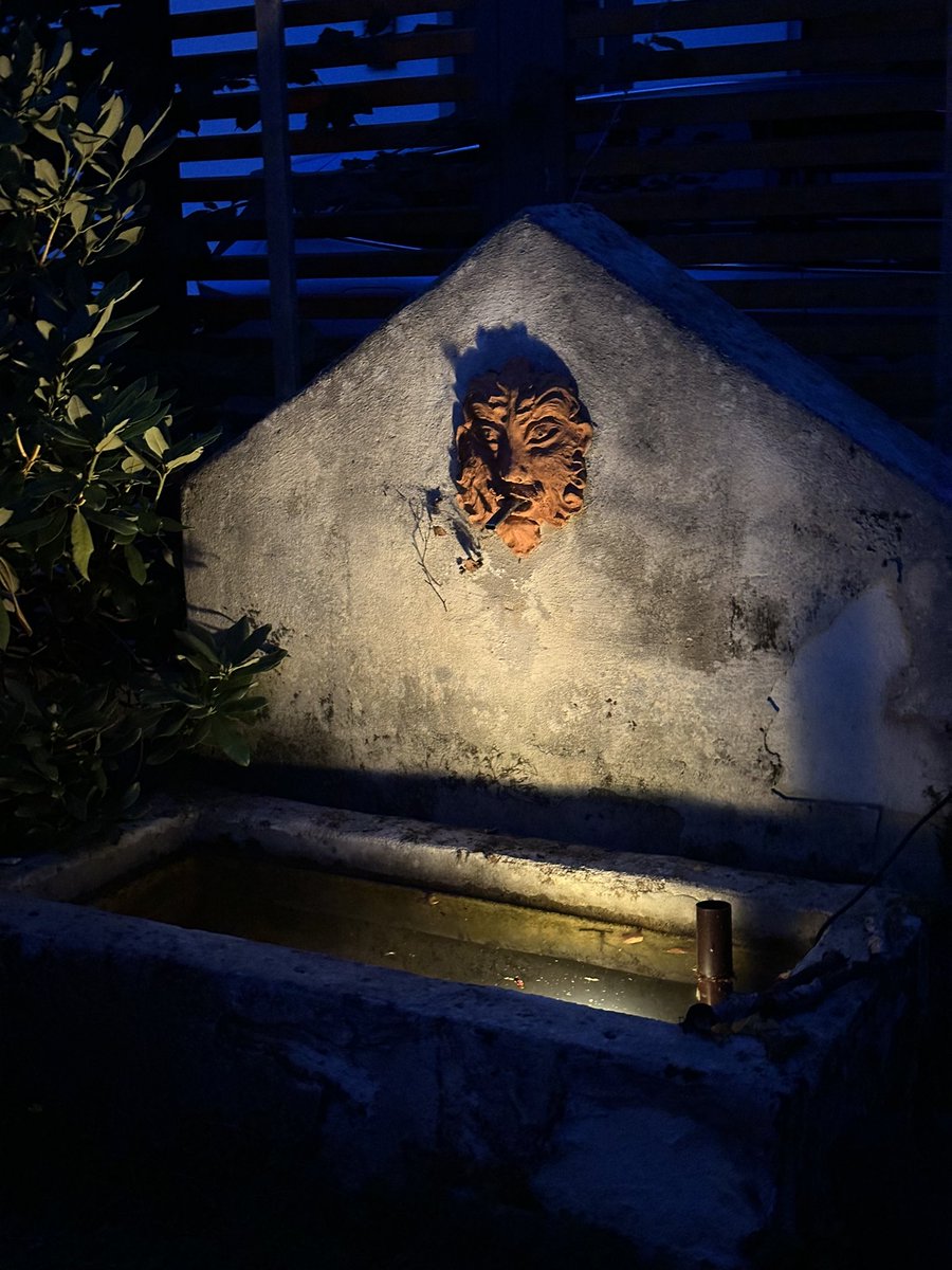 MmeLindl's tweet photo. Sommerabend im Garten mit Feuer https://t.co/n1QQ5KFmRp