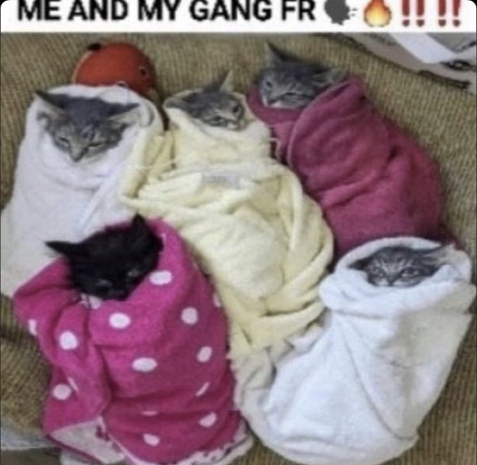 przygotowania Meth Snifferów na finał <a href="/MinionsLeaguePL/">Minions League PL</a> przeciwko <a href="/no7esports/">NO.7 Esports</a>