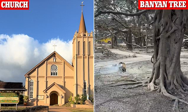 judy morris tweet media