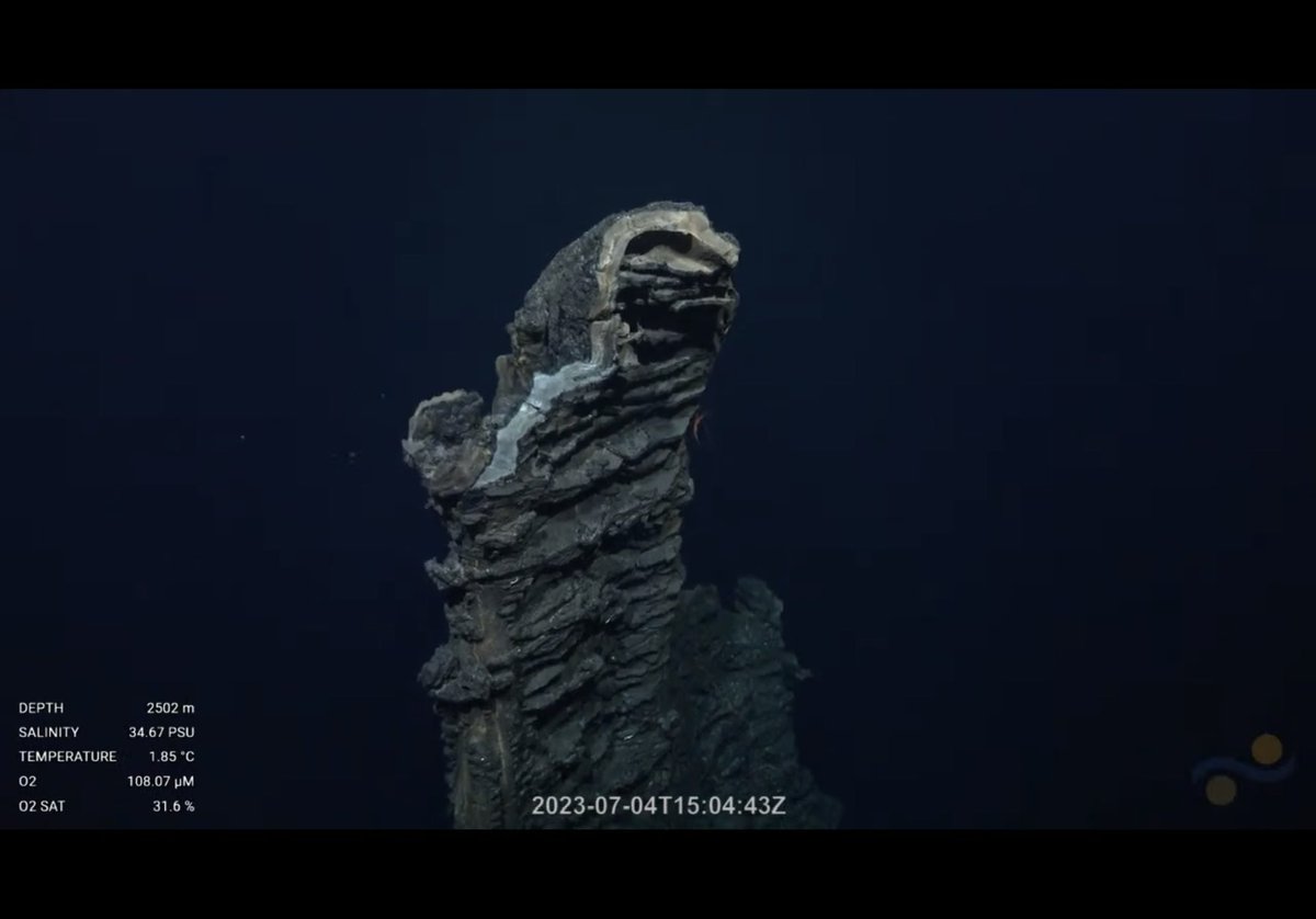 leapinlemurs83's tweet photo. Nautilus in transit so Onto SOI with all the dives I missed last expedition. Some cool geology, a tiny sea cucumber, a tiny snail, and a tiny benthic Ctenophore. July 2023. Tika Vent, Pacific Ocean @SchmidtOcean #VentUnderworld https://t.co/DKm7ZdynX5