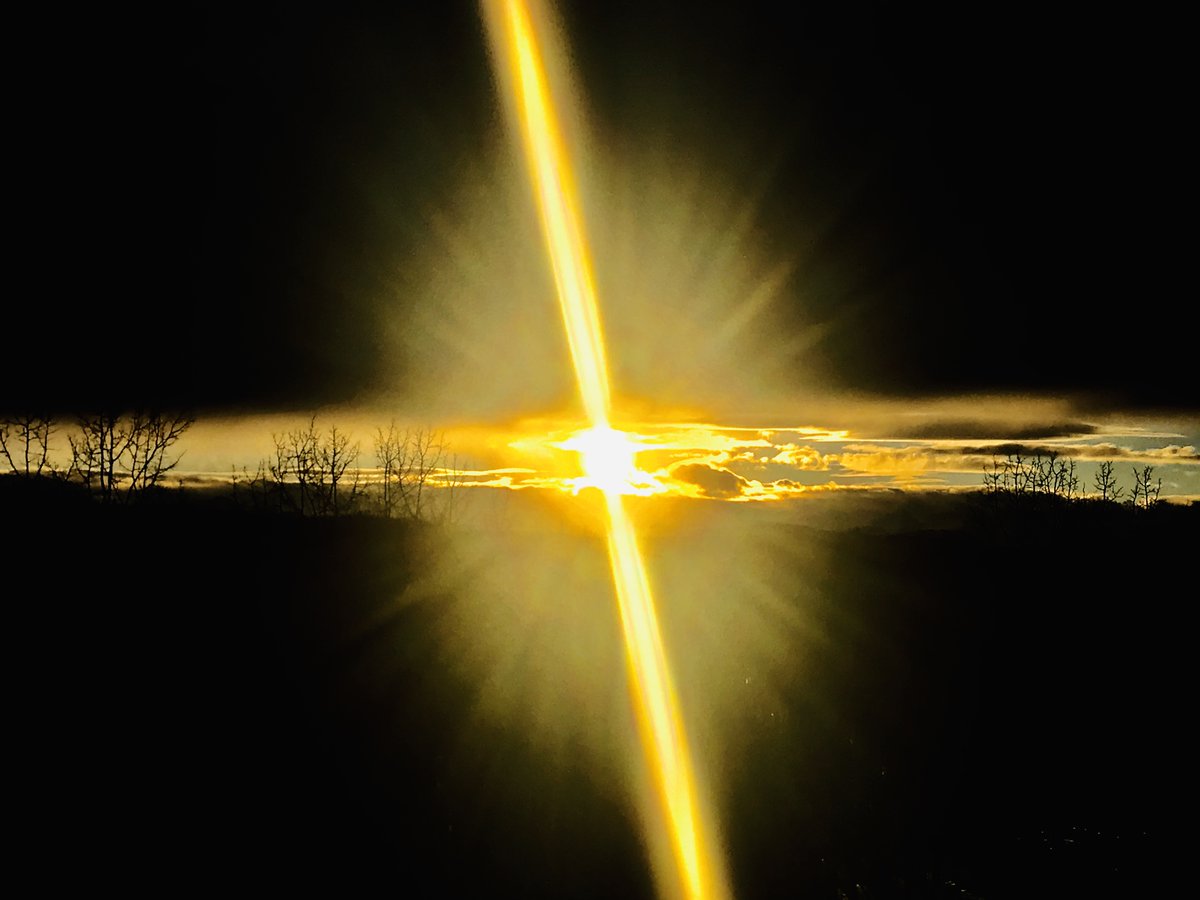 Who is the NFT collective?

Three artists
- A Painter (Halts Art)
- Two photographers (Adrianna and Shea)

All NFTs collected will plant trees. Support artist and the planet. 

#nfts #nftcommunity #nftphotography