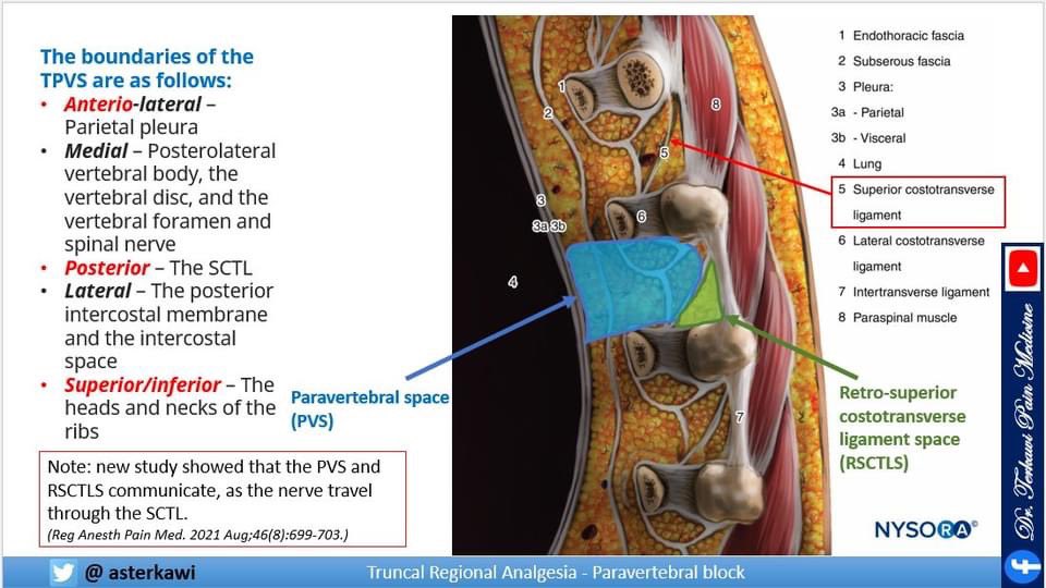 Paravertebral space anatomy was one of the most challenging subject to understand since I was a resident. I put a lot of thoughts and effort into this lecture to make it easy to understand. Learn everything you need about paravertebral block in this video: youtu.be/Or8ypaRkBUA