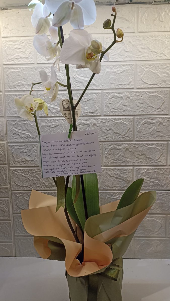 Atanamayan öğretmenlerimiz çok sevdiğim beyaz orkide çiçeği göndererek hem teşekkürlerini hem de bir kez daha taleplerini iletmişler. 
Öncelikle kendilerine teşekkür ediyor ve her daim atanamayan ya da atanan tüm öğretmenlerimizin yanında olduğumuzu ve bundan sonra da olacağımızı