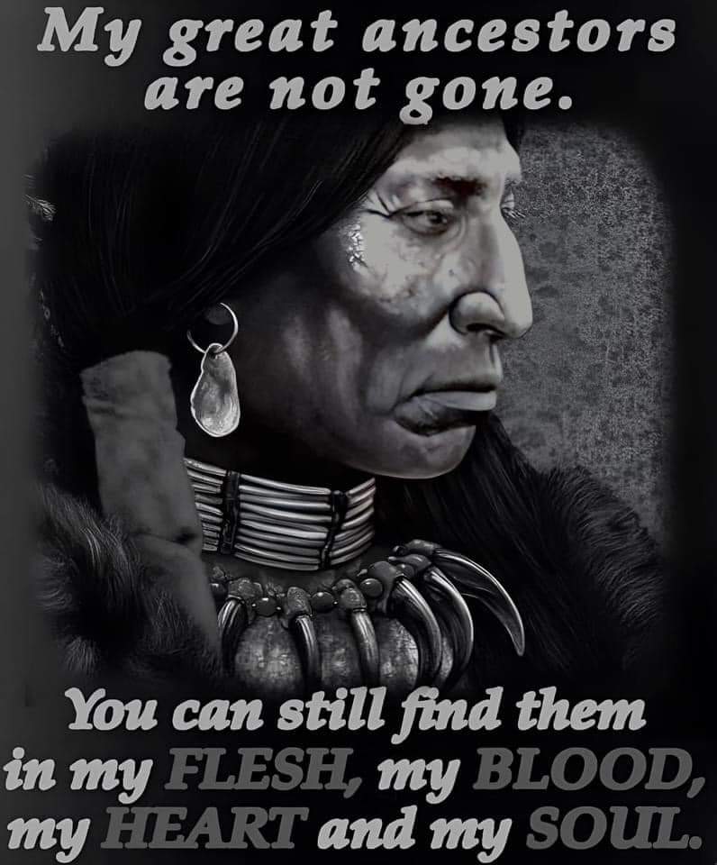 nativeAmericadn's tweet photo. https://t.co/sT5RARPQZs
