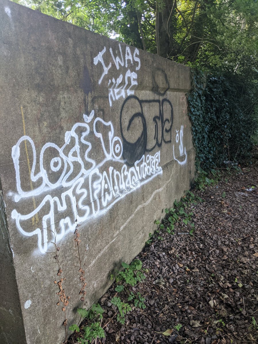 EricTorrington's tweet photo. Only went out to pick up two of our Ukrainian girls from the railway station. Just had to come home with 358 #litter items from an old railway cutting, #Drycott industrial estate & roads. @CamParish @TruckersUp @KeepBritainTidy https://t.co/OZwr3YeMla