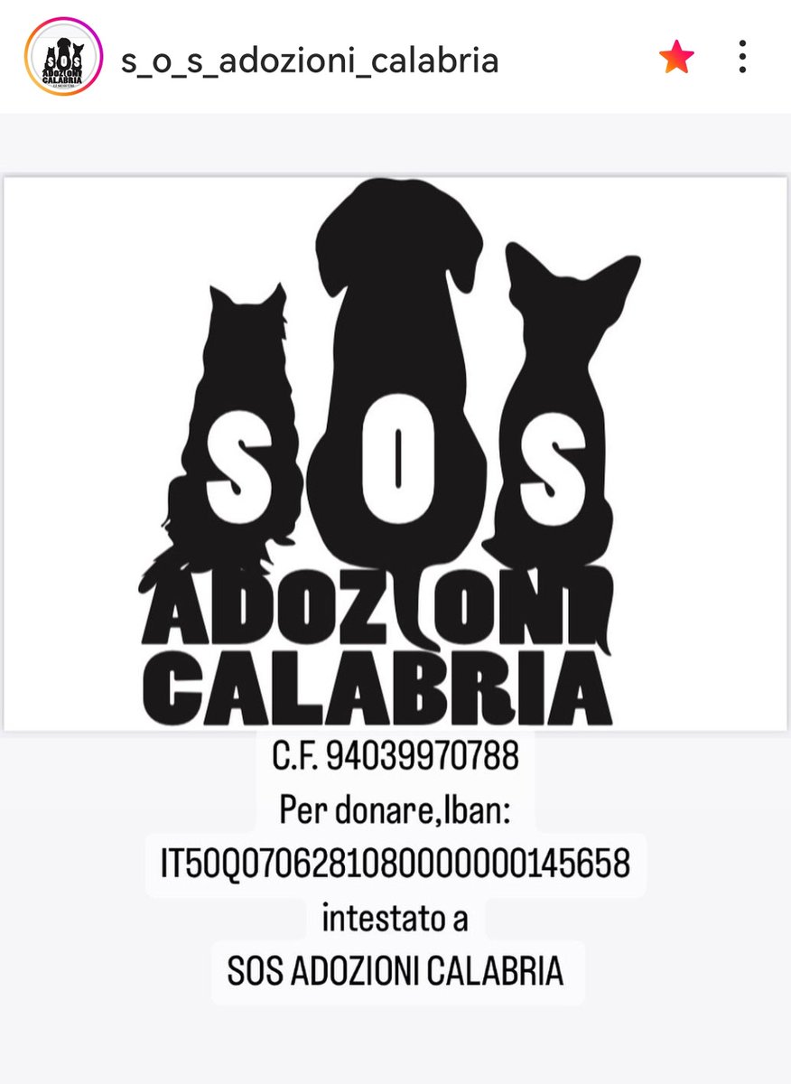 MonicaOrsini8's tweet photo. Volontarie dal cuore GRANDE che operano in una terra difficilissima come la #Calabria. Supportatele per aiutare i tanti pelosetti sul territorio 🆘🙏🏻 #SosAdozioniCalabria #AdoptDontShop #adottanoncomprare #adottauncanedalcanile #liberitutti #adottanoncompraremai https://t.co/7WoMXBJtNg