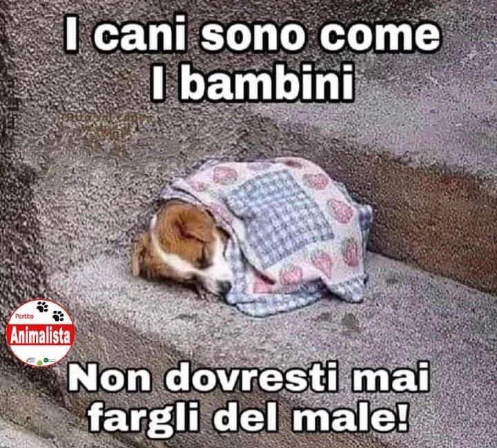 P_Animalista's tweet photo. Gli Amici NON si Abbandonano MAI.
Campagna #IoNonTiAbbandono https://t.co/IGZ7xRPBzt