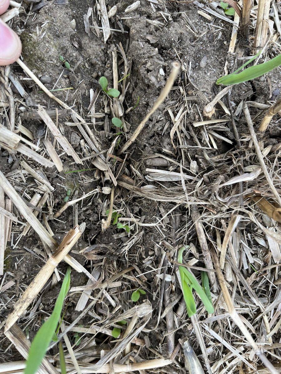 Alastair Trickett tweet media