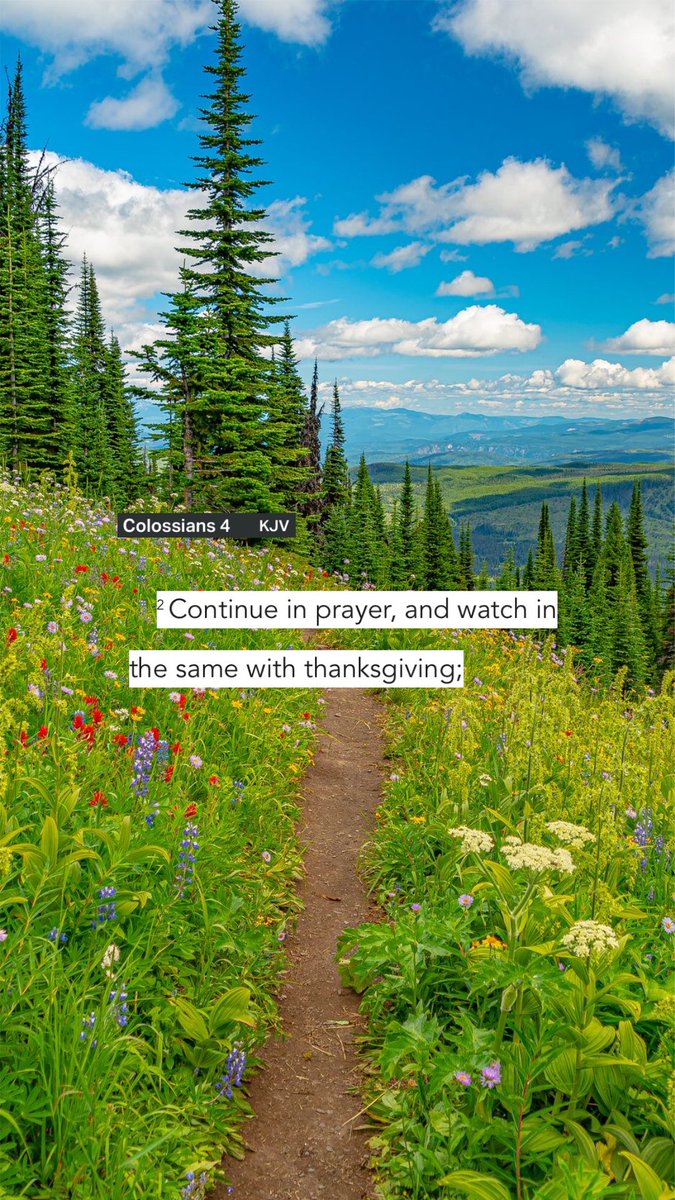 Amazing316Grace's tweet image. Colossians 4:2 #bibleverse #godisgood #prayforit #godisincontrol #prayer