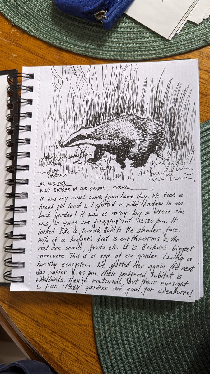 shmizilla's tweet photo. Feeding my soul by drawing more this year. I'm starting a new journal and will be sharing my sketches as I go. This is from my new series - 'Spotting Wildlife'. Meet the wild badger who has visited our garden. We've spotted her a couple of times foraging. https://t.co/LXRETKPtji