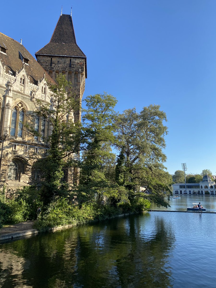 razwlins's tweet image. fotografcilar isinize bakin