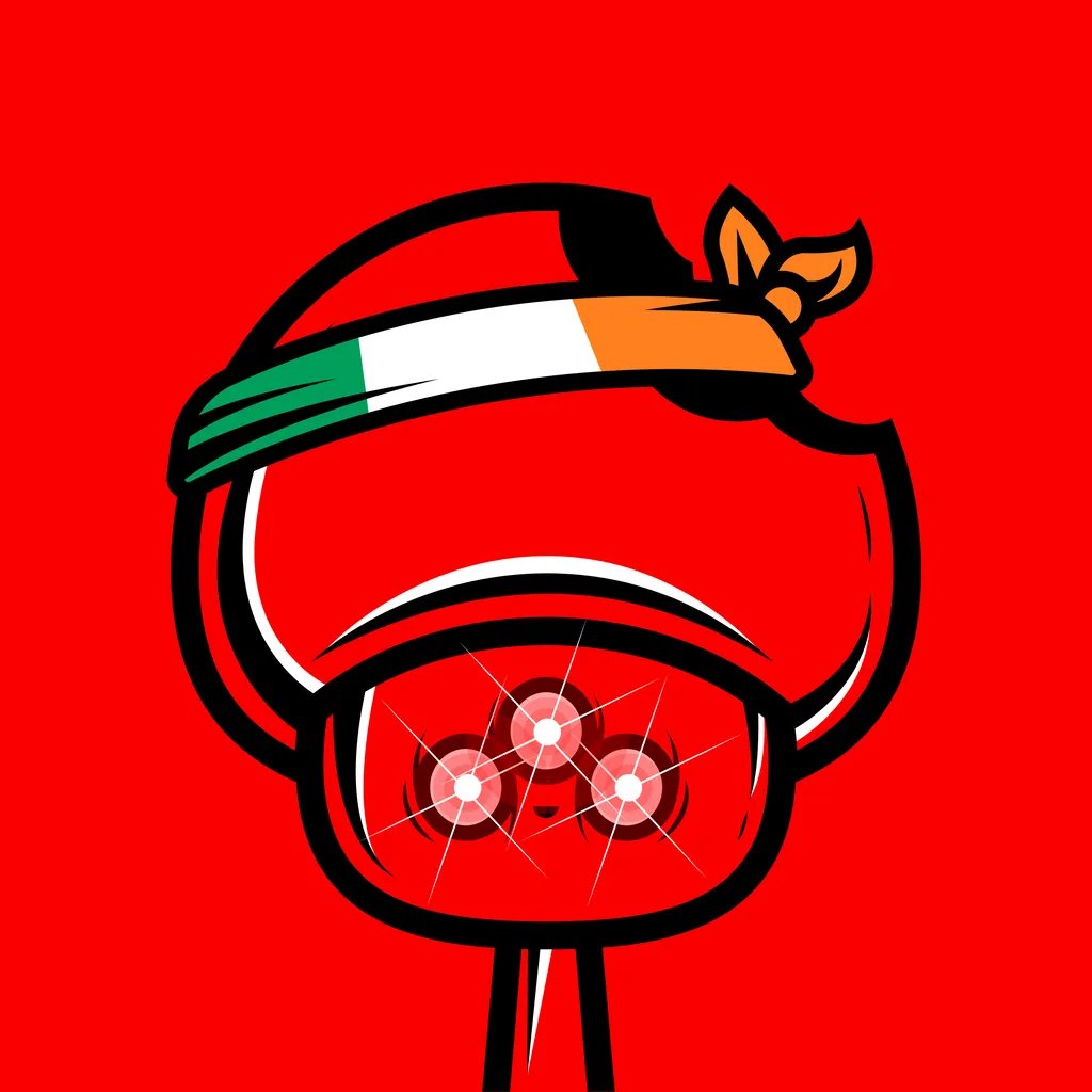 RudeBoyCrypto's tweet photo. @HustleValley @xShroomsNFT Invisible. Red Laser eyes. Ireland headband. #WeDidntComeHereToTakePart 🏆 #WeCameToTakeOver https://t.co/9VSPb5wdun