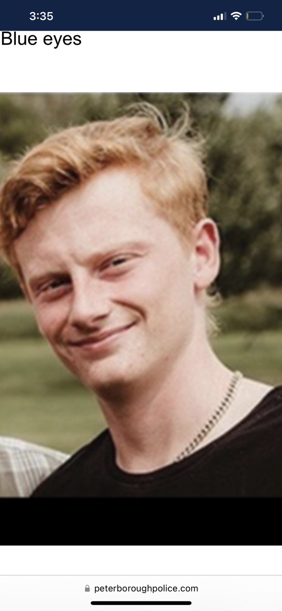 Brayden Montgomery tweet media