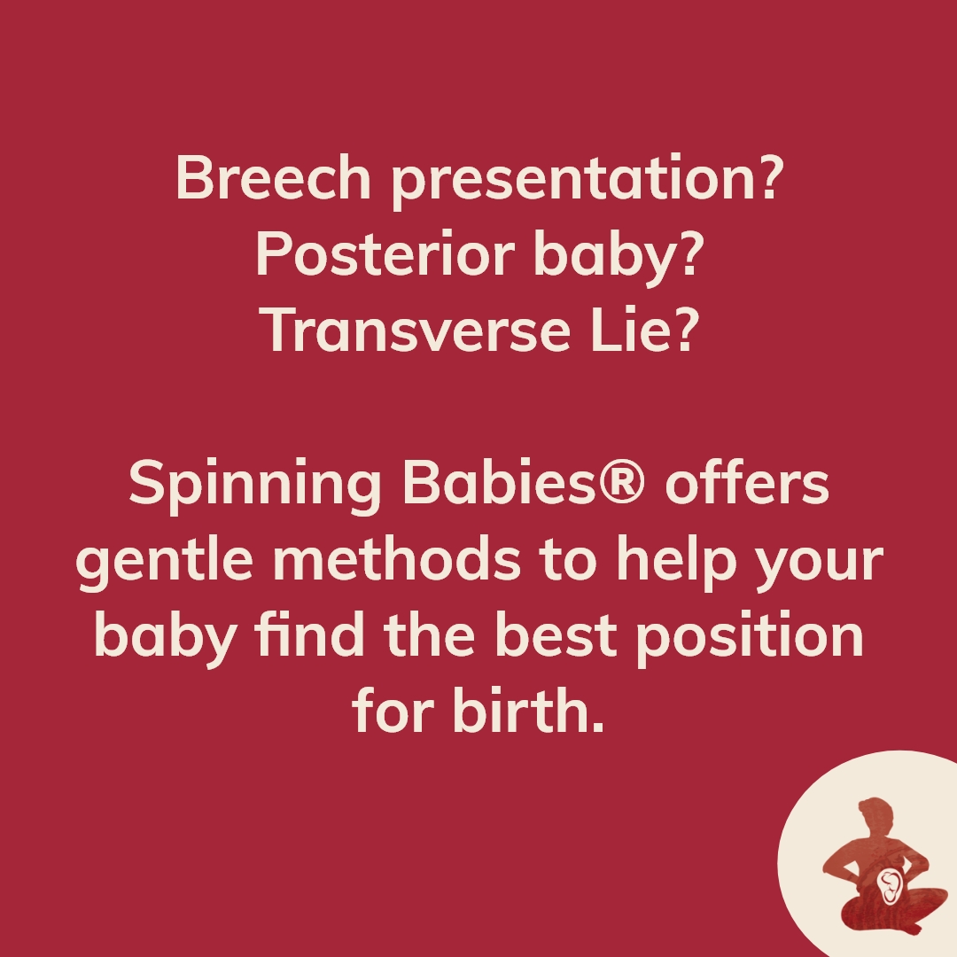 SpinningBabies's tweet image. Spinning Babies® offers a gentle approach to help your baby find the best position for birth. 

Head to our website &amp;gt;&amp;gt; Pregnancy &amp;amp; Birth &amp;gt;&amp;gt; Baby Positions and click on the position you’d like to learn some tips and techniques to help!
.

#pregnancyresources #labortips