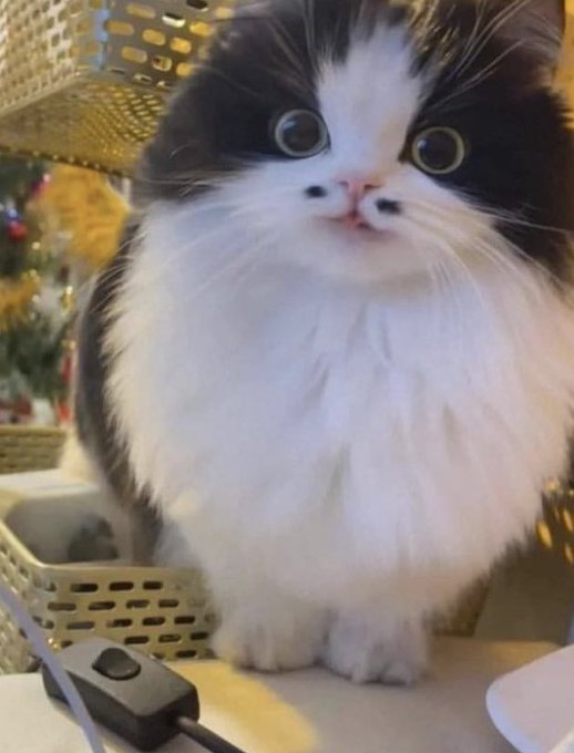 positive side of X 🌞 tweet media