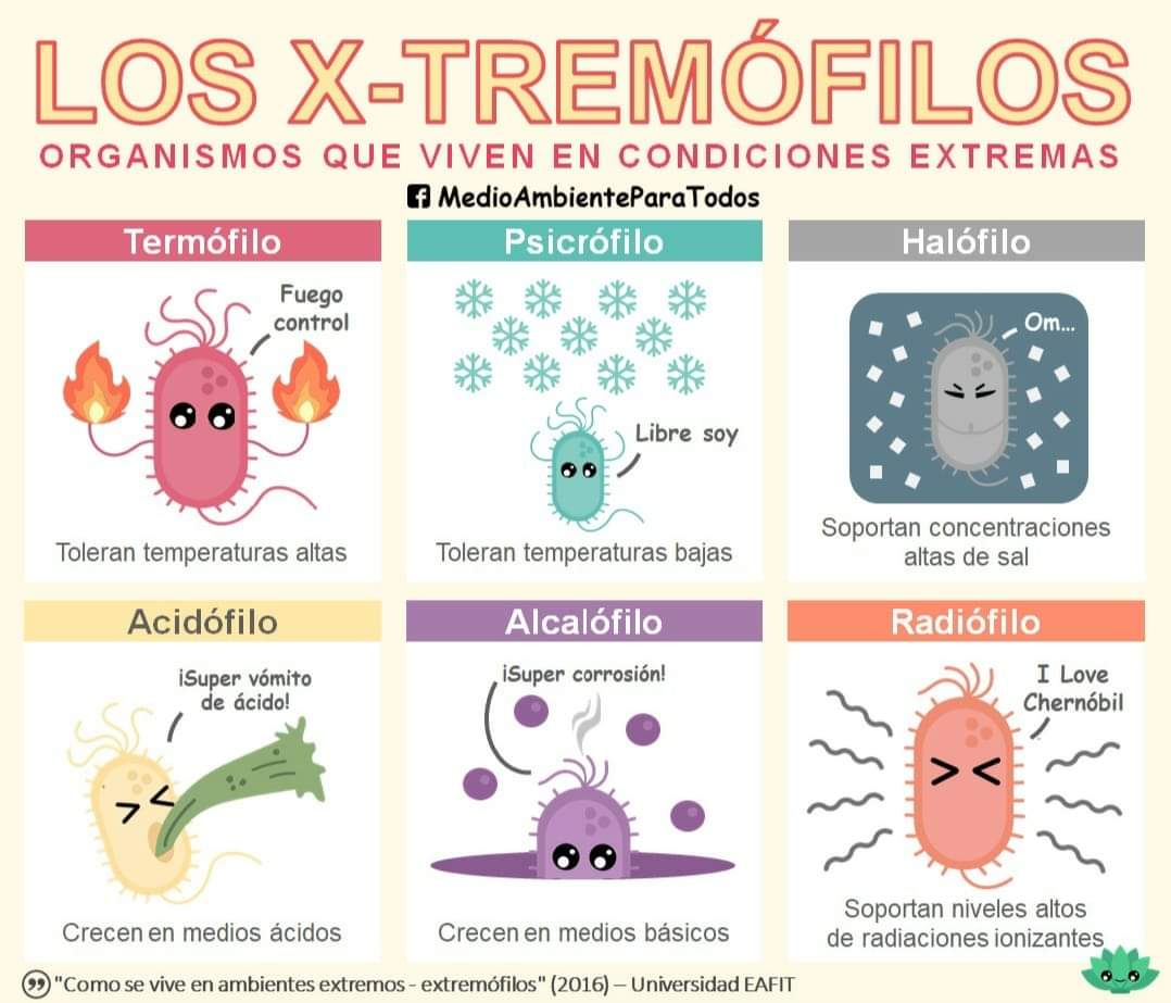 Organismos que viven en condiciones extremas

Créditos en la imagen