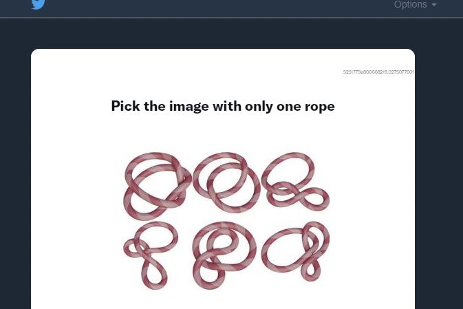 Lumina Kira 🪅🦄| Whorsetuber tweet media